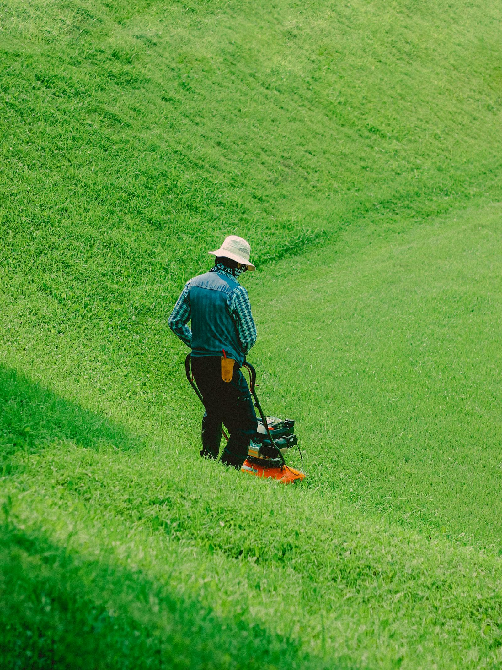 A gardener seen from behind mowing a green lawn