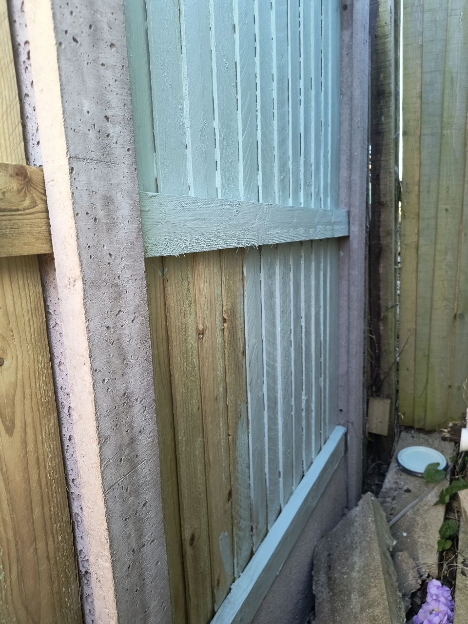 Mid-paint close-up of a fence panel in Deal, freshly applied duck-egg blue paint visible on the central planks and the cross-rail, with a saucer half-visible against the lower panel, sunlit timber and concrete posts.
