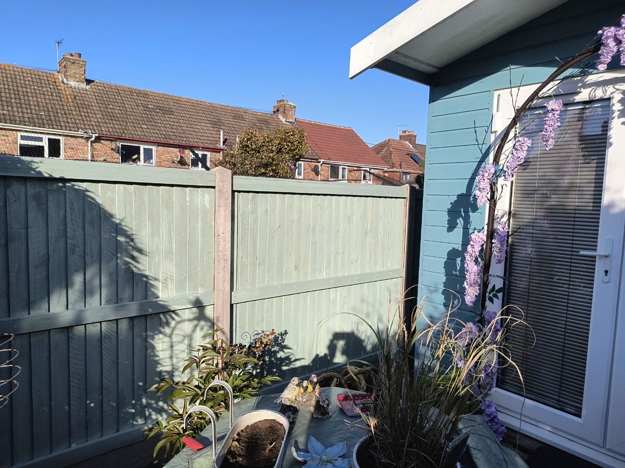 The finished fence in Deal, sage-green timber panels along the back boundary, two coats fully cured, with the customer's blue summer house at the right and a pink wisteria-like climbing plant beside it. Bright sunshine, neighbouring rooflines visible above the fence.