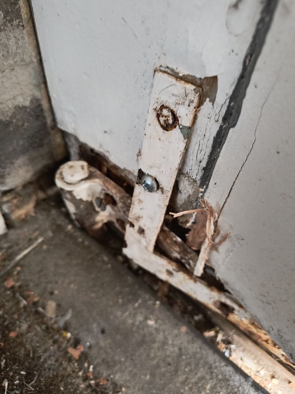 Bottom corner of an external door in Deal showing severe timber rot around the lower hinge, paint flaking, wood fibres exposed and splintered, the metal hinge bracket distorted.
